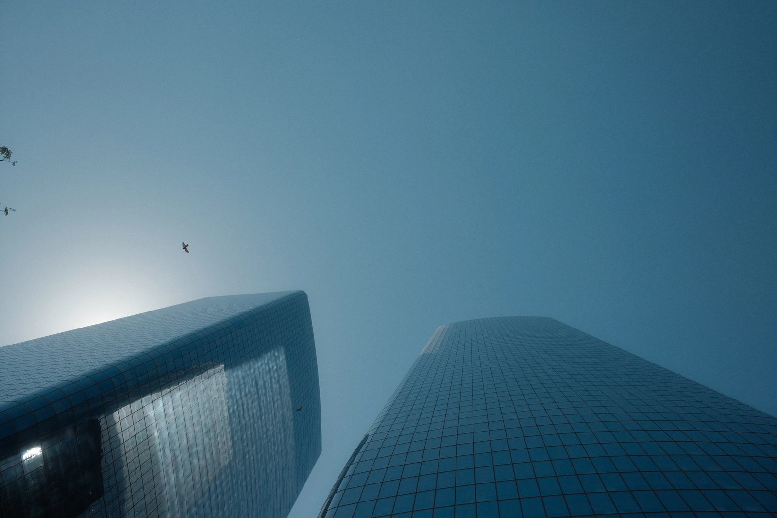 Blue 10 Of 12